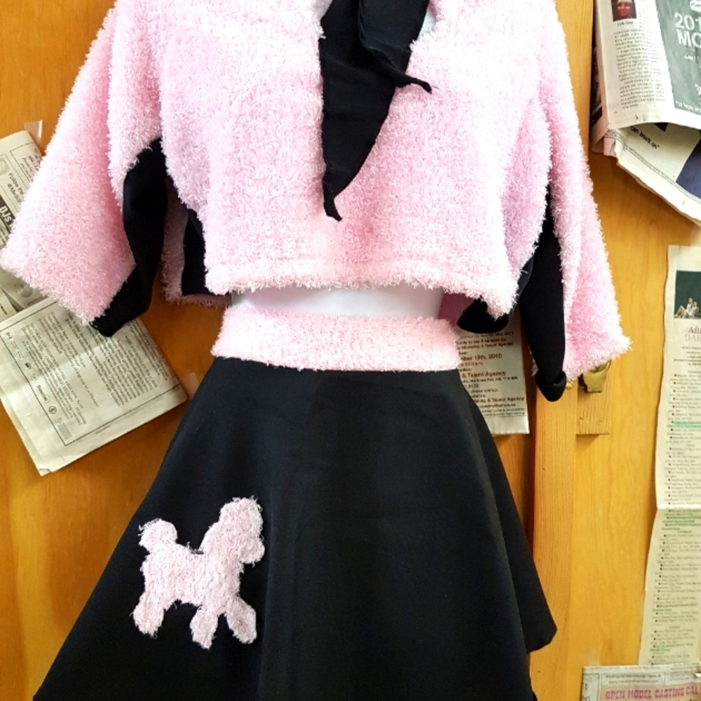 COPY - Mini Poodle Skirt & Matching Top